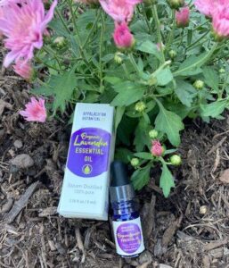 Organic Lavender Farm Reclaims Land, Lives and Economy in West Virginia Image